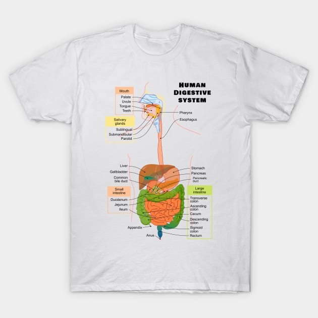 Diagram of the Human Digestive System T-Shirt by sovereign120